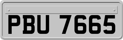 PBU7665