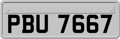 PBU7667