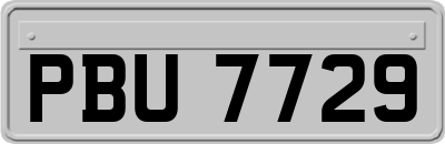 PBU7729