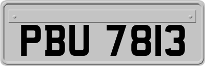 PBU7813