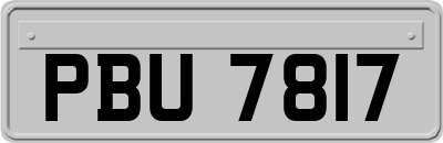 PBU7817