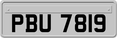 PBU7819