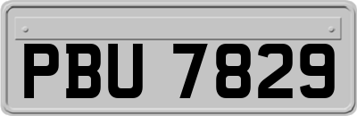 PBU7829