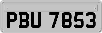 PBU7853