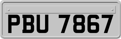 PBU7867