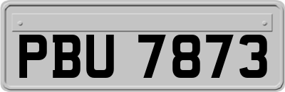 PBU7873