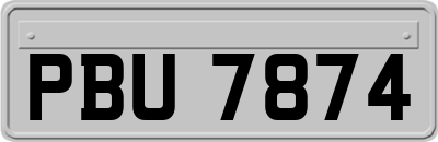 PBU7874