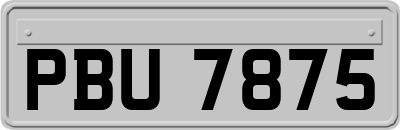 PBU7875