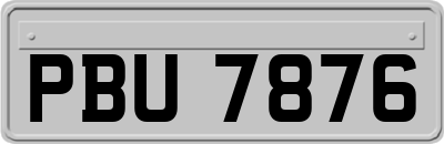 PBU7876