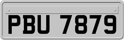 PBU7879