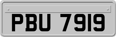 PBU7919