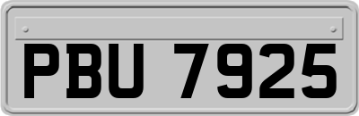 PBU7925