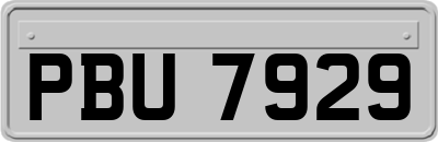 PBU7929