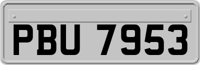 PBU7953