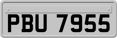 PBU7955