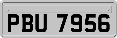 PBU7956