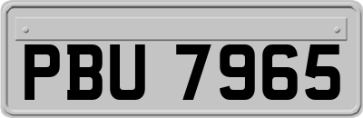 PBU7965