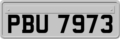 PBU7973