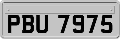 PBU7975