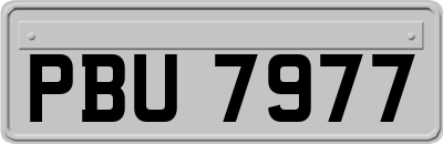 PBU7977