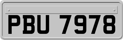 PBU7978