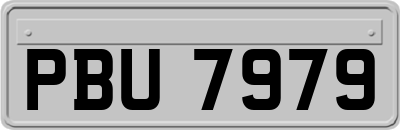 PBU7979