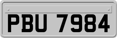 PBU7984