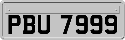 PBU7999