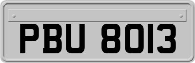 PBU8013