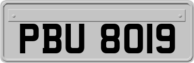 PBU8019