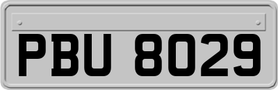 PBU8029