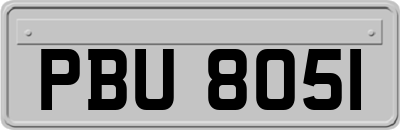 PBU8051