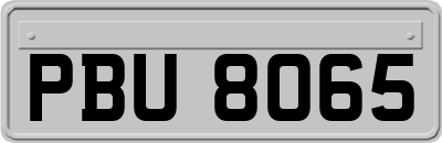 PBU8065