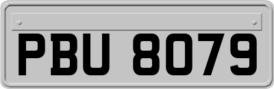 PBU8079