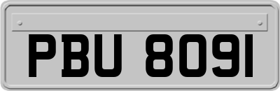 PBU8091