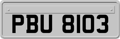 PBU8103