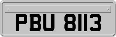 PBU8113