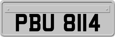 PBU8114