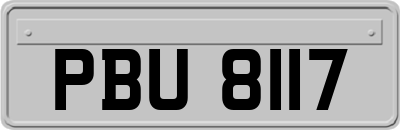 PBU8117