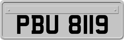 PBU8119