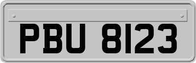 PBU8123