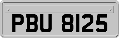 PBU8125