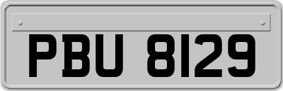 PBU8129