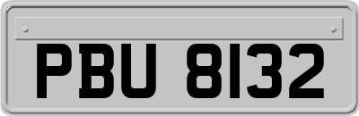 PBU8132