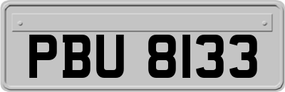 PBU8133