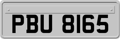 PBU8165