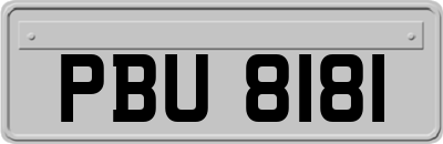 PBU8181