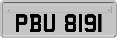 PBU8191