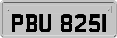 PBU8251