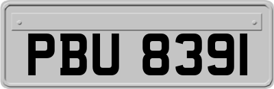 PBU8391